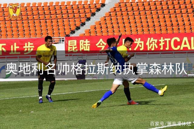 奥地利名帅格拉斯纳执掌森林队 承诺重塑球队纪律