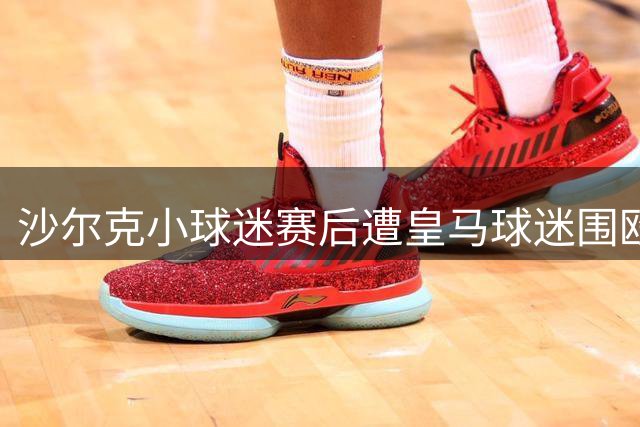 沙尔克小球迷赛后遭皇马球迷围殴 财物被劫掠